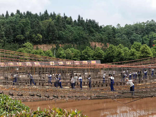 盘龙大观园研学旅行活动