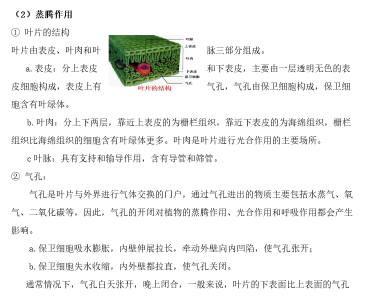 长沙生地会考生物知识点：种子植物的一生（二）