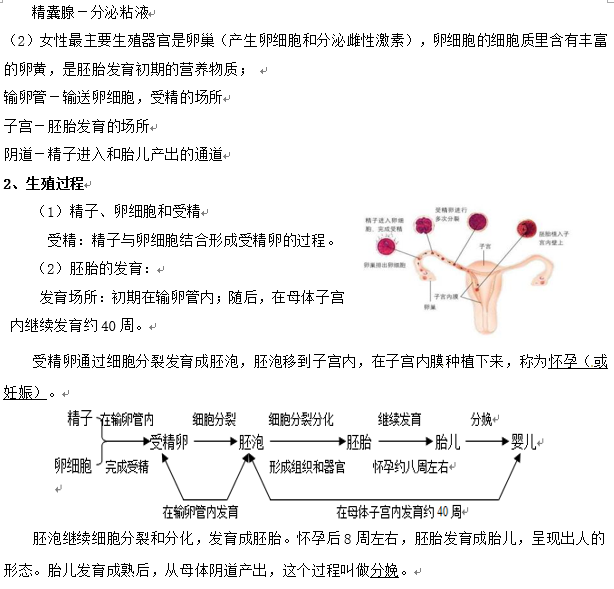 长沙生地会考生物知识点：动物细胞的生命历程