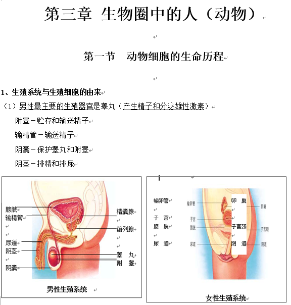 长沙生地会考生物知识点：动物细胞的生命历程