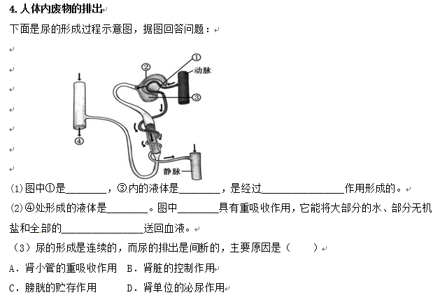 长沙生地会考生物知识点：人体的新陈代谢（三）