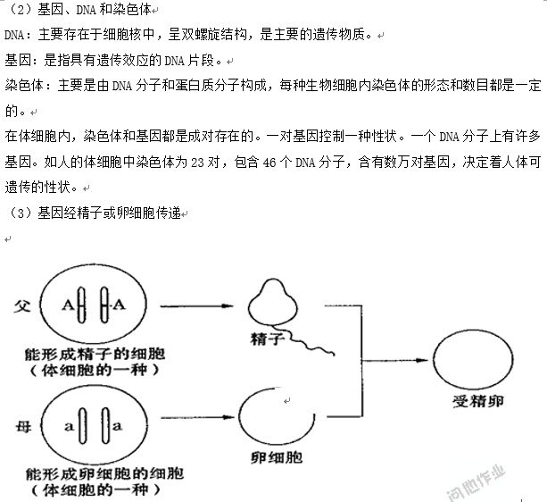 长沙生地会考生物知识点：生物的遗传与变异（一）