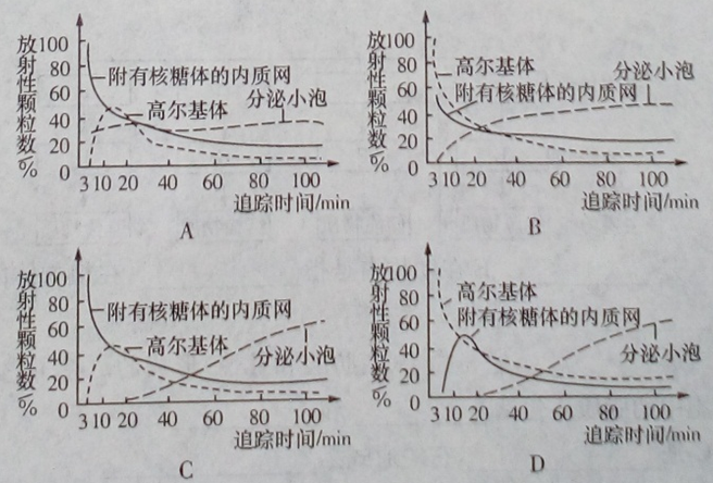 师大附中高一生物第一学期期中试卷及答案