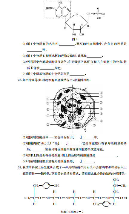 长郡中学高一生物第一学期期中试卷及答案