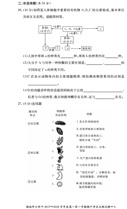 师大附中高一生物第一学期期中试卷及答案