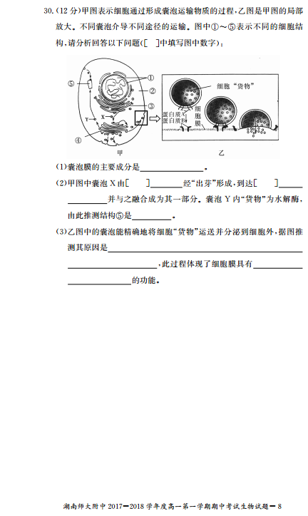 师大附中高一生物第一学期期中试卷及答案