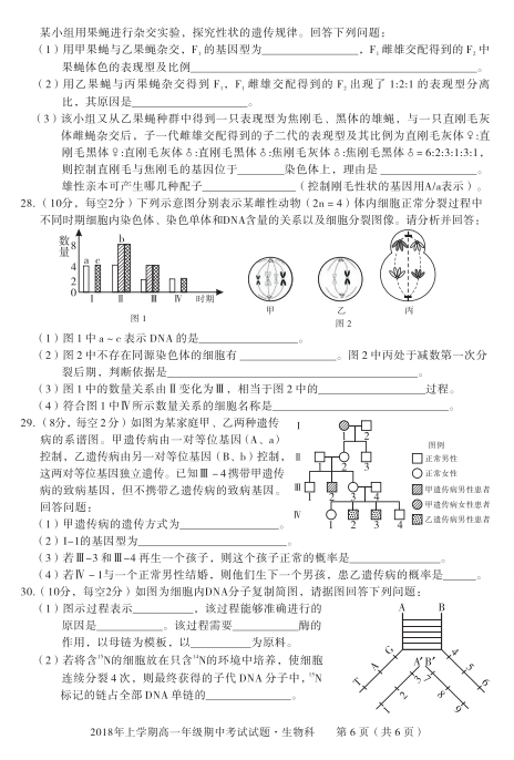 湖南省五市十校高一生物第二学期期中试卷及答案（一）