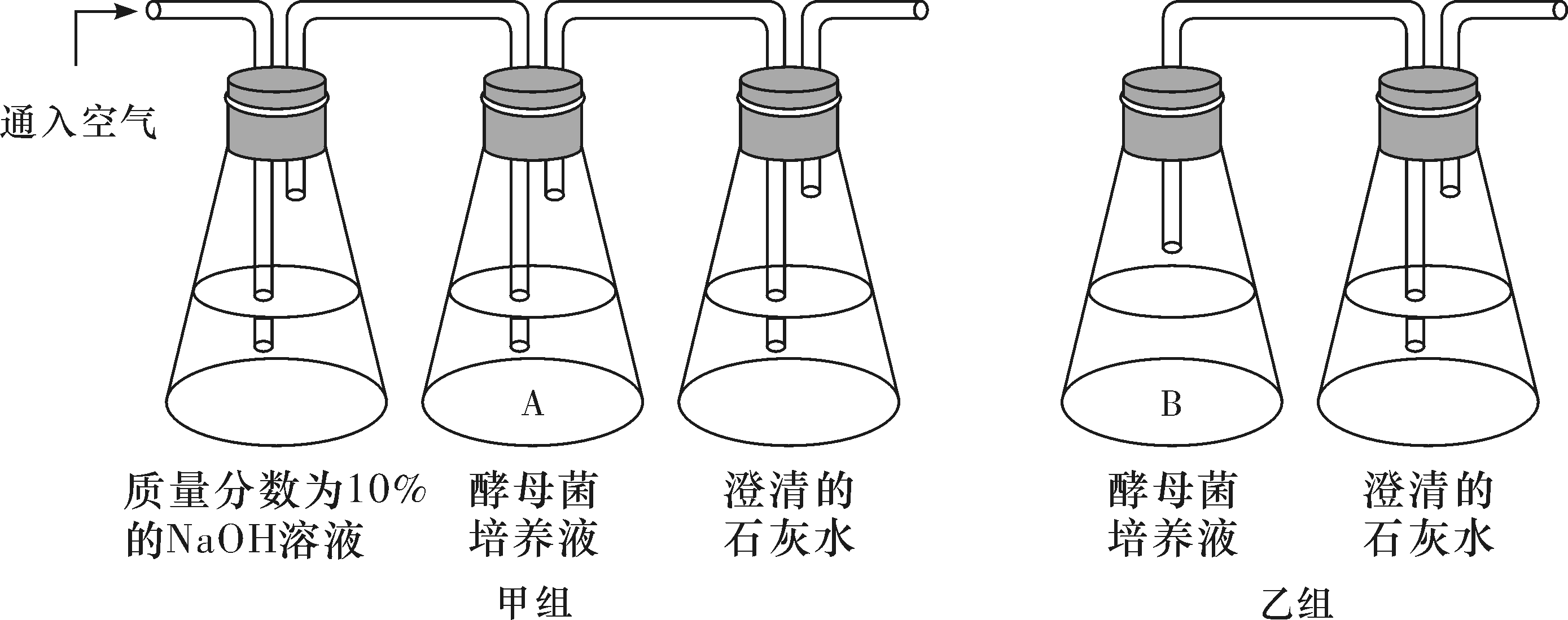 湖南师大附中高一生物第一学期期末试卷及答案