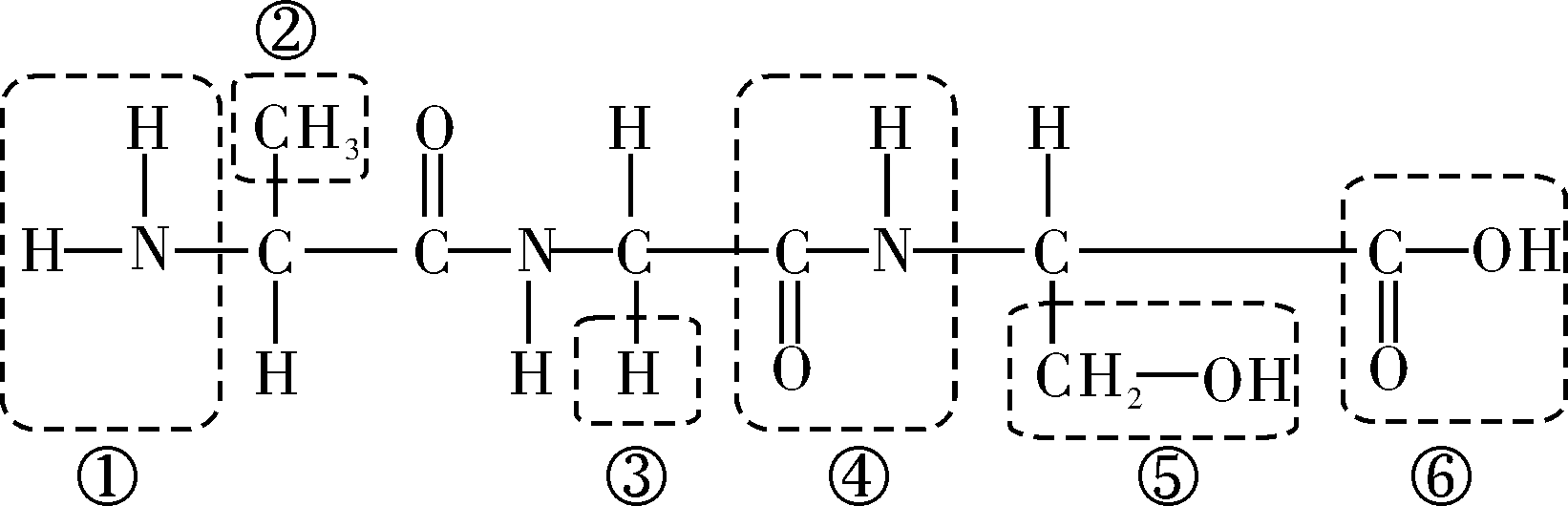 湖南师大附中高一生物第一学期期末试卷及答案