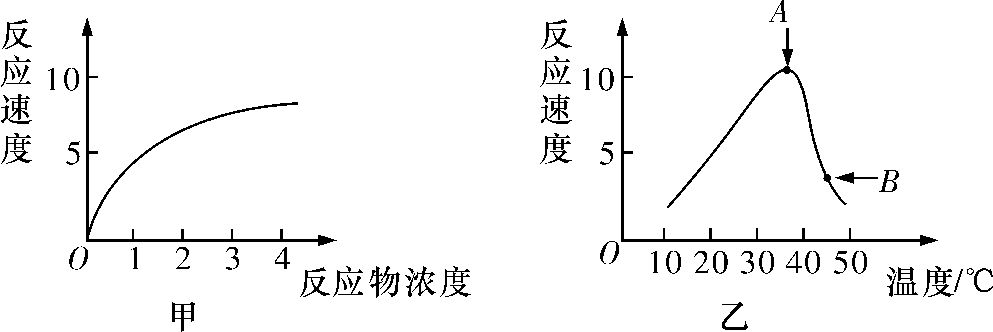 湖南师大附中高一生物第一学期期末试卷及答案