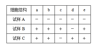 湖南师大附中高一生物第一学期期末试卷及答案