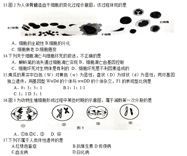 2016年湖南省生物学业水平考试真题