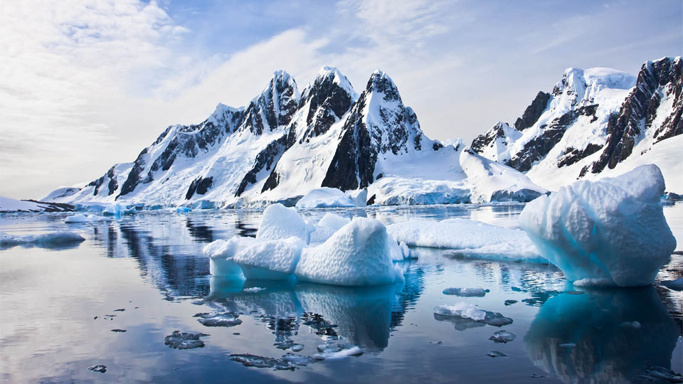 Antarctica's plastic threat 科学家称塑料污染已威胁南极海域