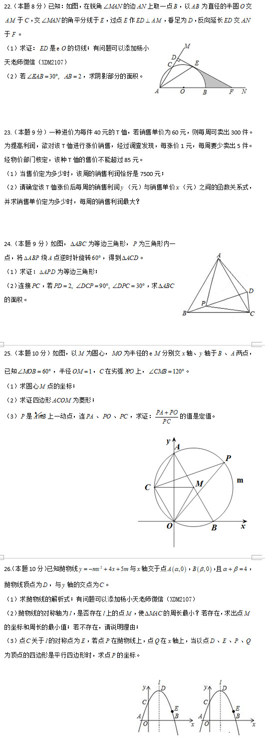 长沙雅礼集团初二下学期数学期末试卷（三）