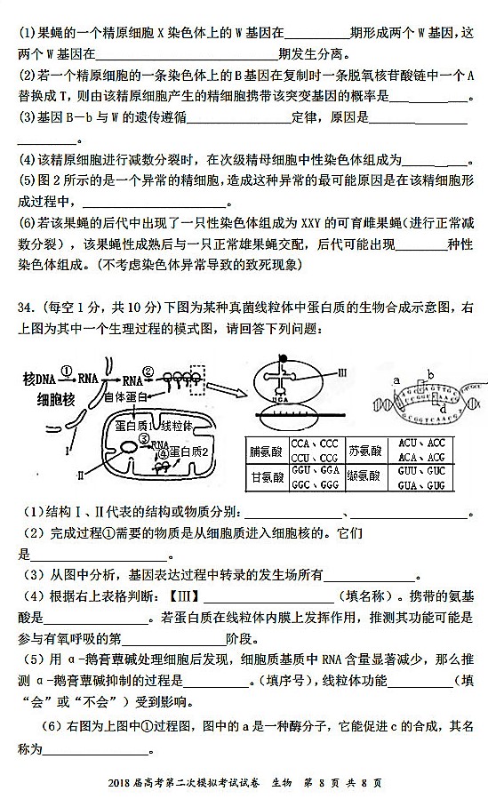 2018年永州市祁阳县高三上生物试卷