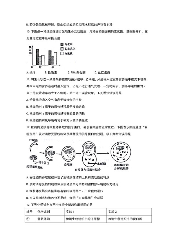 2018年天津红桥区高三期中生物试题及答案