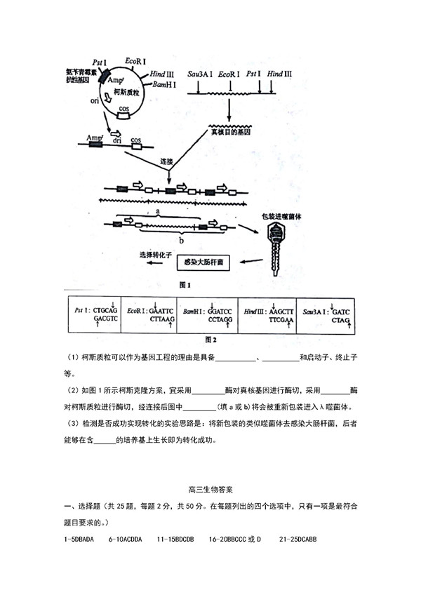 2018年天津红桥区高三期中生物试题及答案