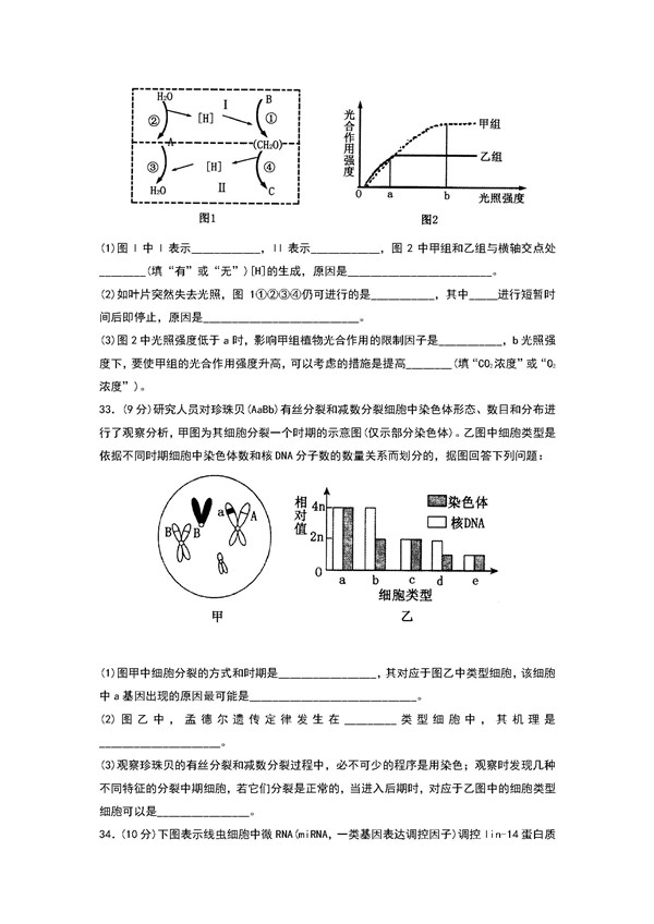 2018年山东泰安市高三期中生物试题及答案