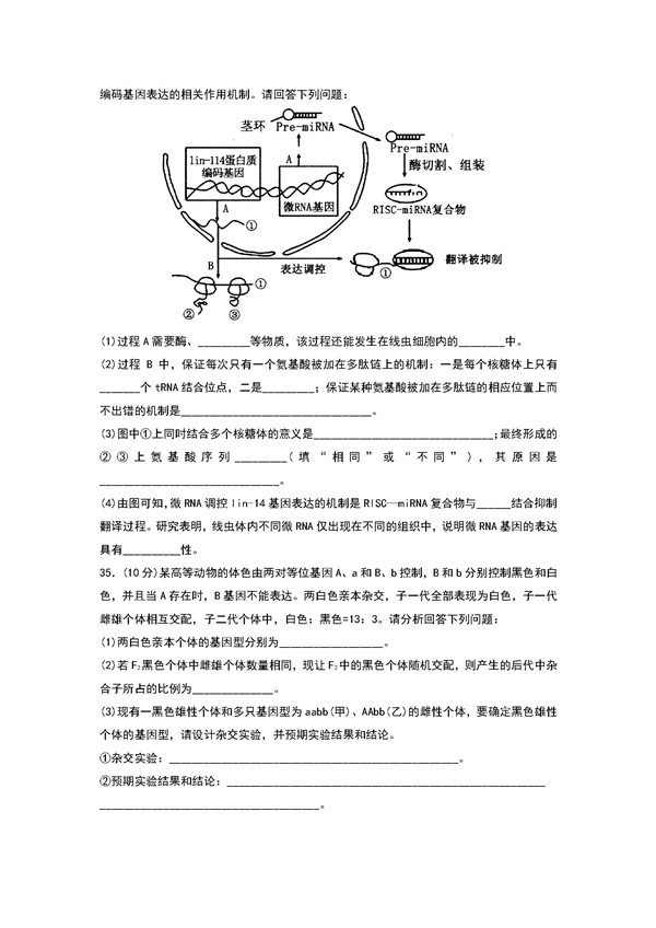 2018年山东泰安市高三期中生物试题及答案