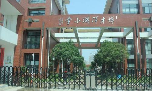 岳麓区博才洋湖小学