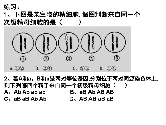 高一生物教案：减数分裂和受精作用(3)