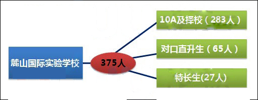 2013长沙麓山国际实验学校中考“四大名校”录取分析