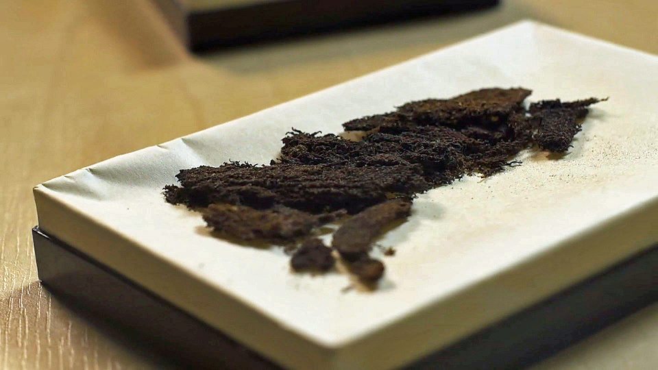 The secret recipe for ancient mummification 古埃及木乃伊的制作秘方