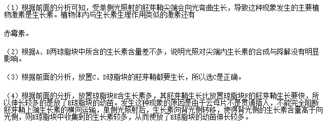 2017年上海市学业水平等级考试生物试题