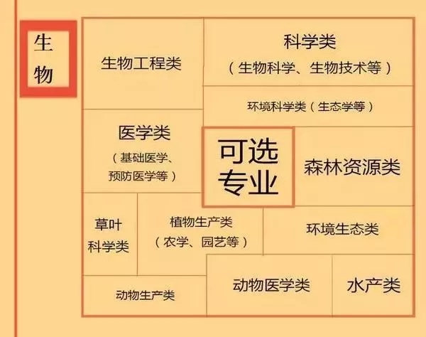 2018年湖南新高考：20种选科组合