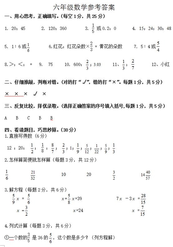 六年级数学上册期中测试卷及答案（九）