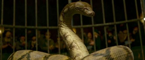 《神奇动物2：格林德沃的罪行》伏地魔爱宠蝰蛇引热议