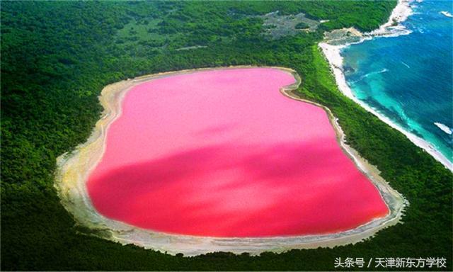 世界地理知识:神秘的粉红色湖泊 世界地理知识:神秘的粉红色湖泊