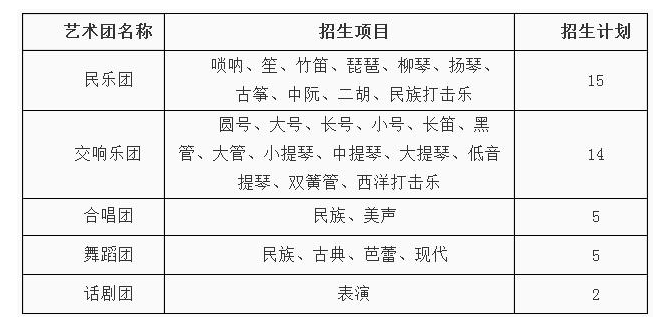 南京理工大学高水平艺术团招生简章