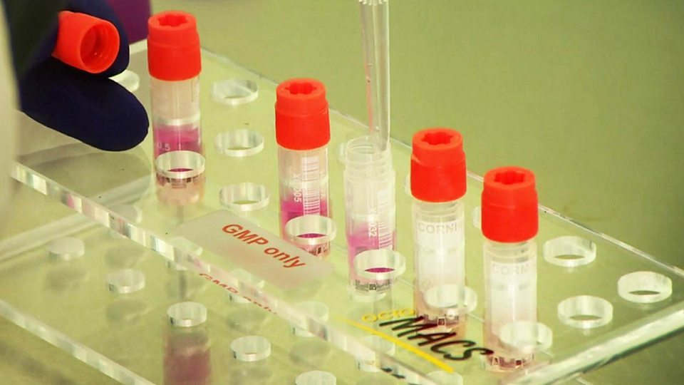 Laboratory-grown meat 实验室里培养的肉类食品