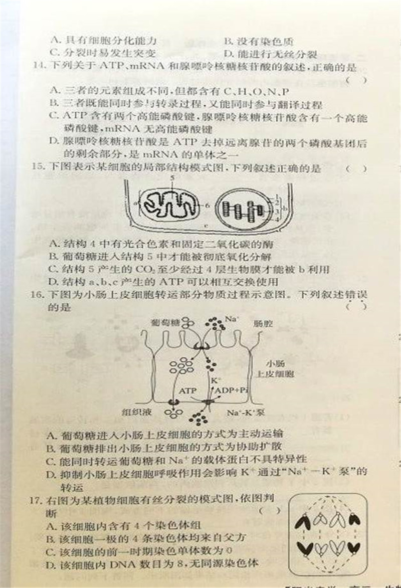 2019届宁夏吴忠中学高三上学期第二次月考试题