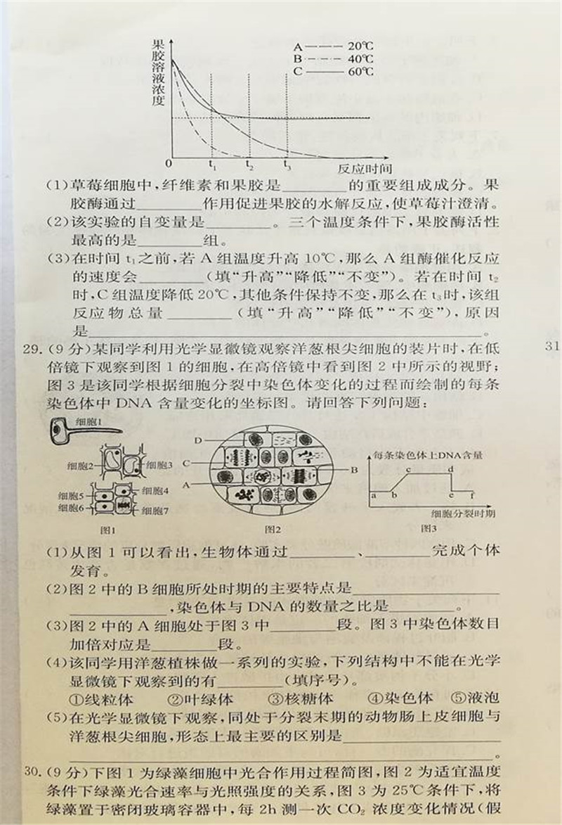 2019届宁夏吴忠中学高三上学期第二次月考试题