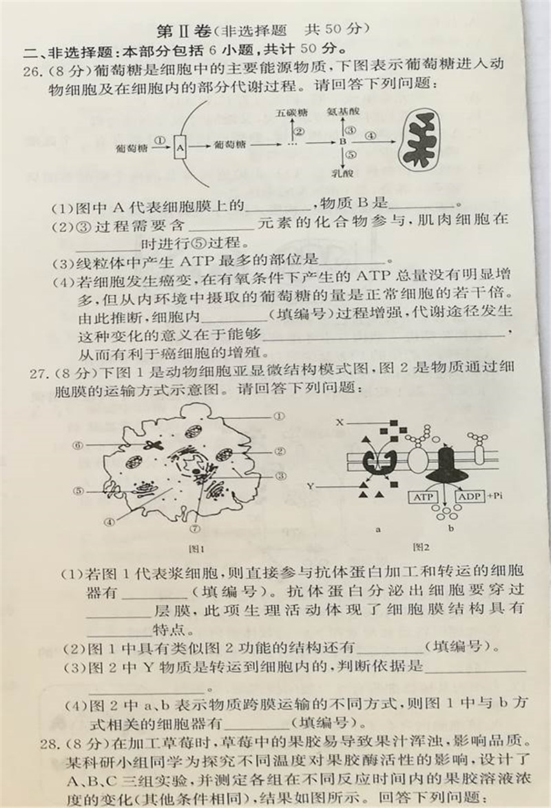 2019届宁夏吴忠中学高三上学期第二次月考试题