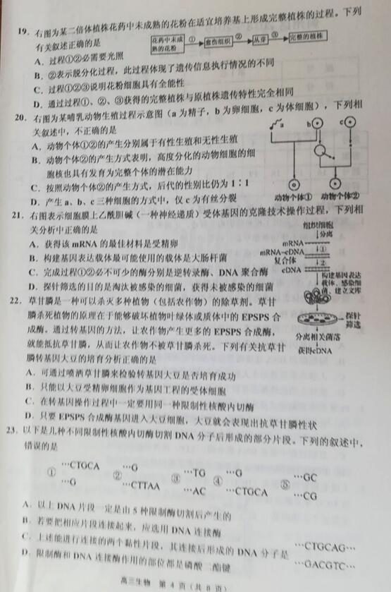 2019天津市蓟州区高三期中生物试题及答案