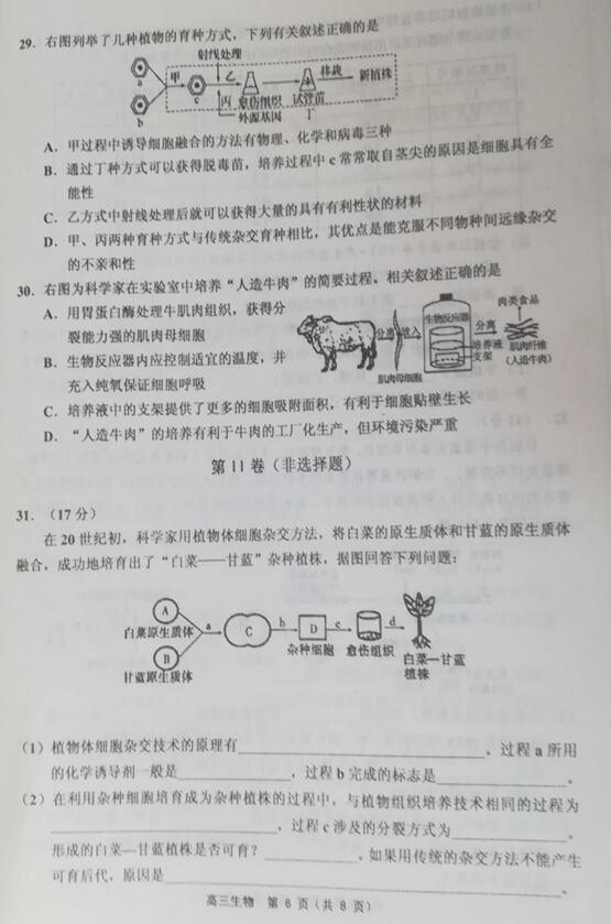 2019天津市蓟州区高三期中生物试题及答案