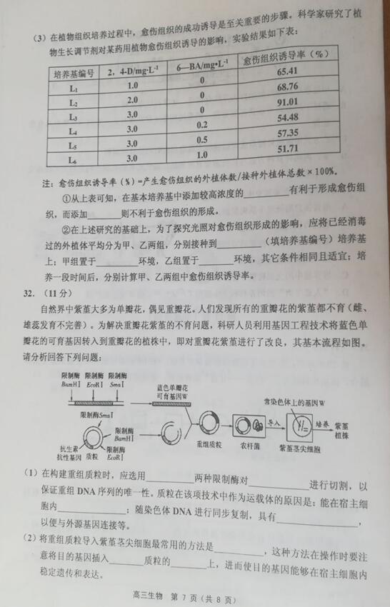 2019天津市蓟州区高三期中生物试题及答案