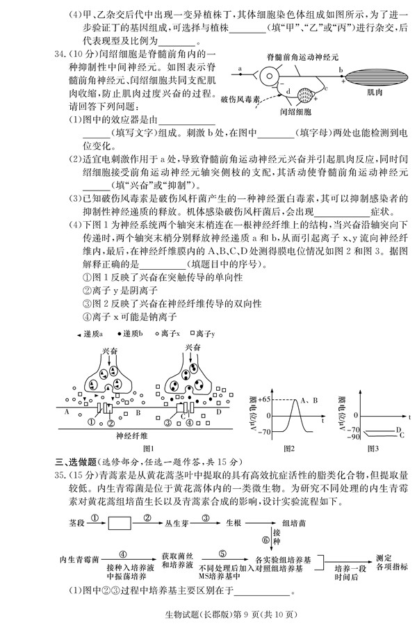 2018年长郡中学高三上生物第四次月考试题