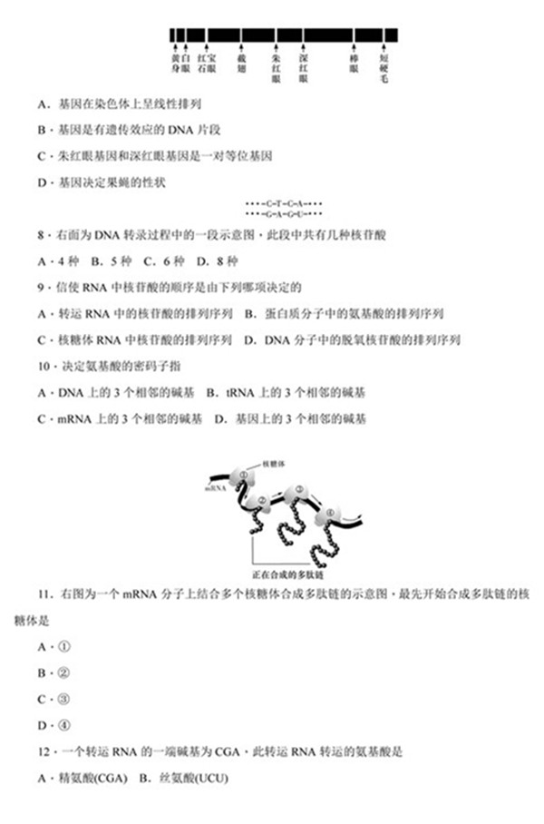 2018年湖南师大附中高二上生物期中试卷