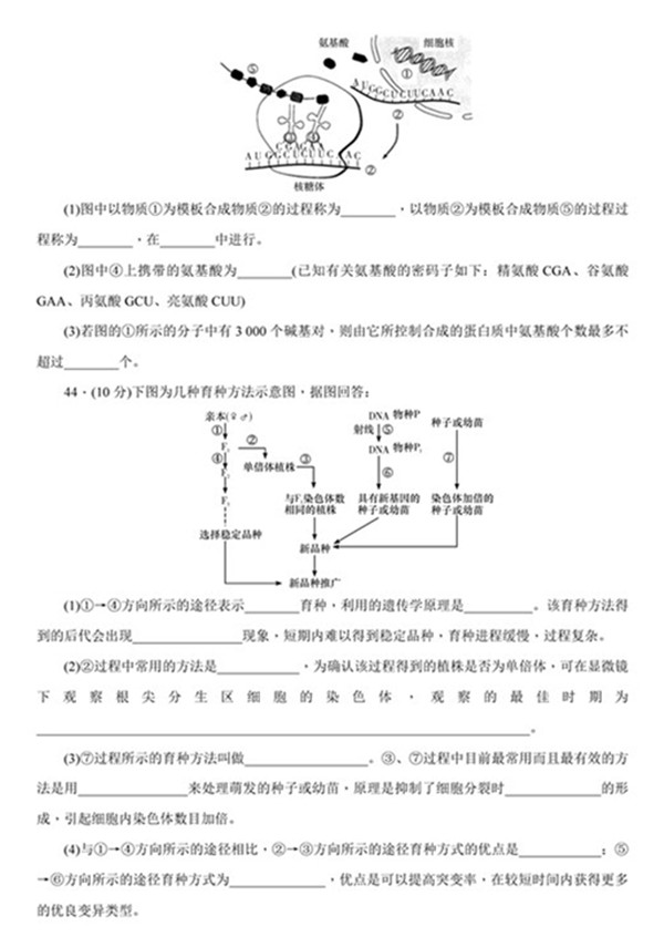 2018年湖南师大附中高二上生物期中试卷