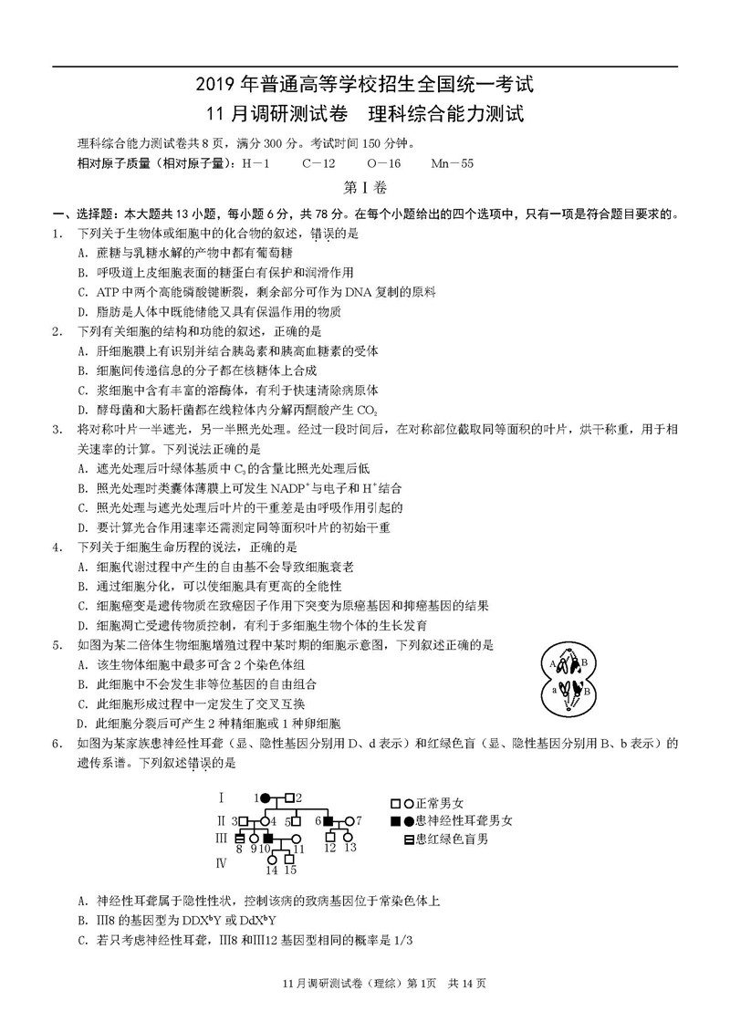 重庆2019年普通高等学校招生全国统一考试11月理科综合调研测试卷