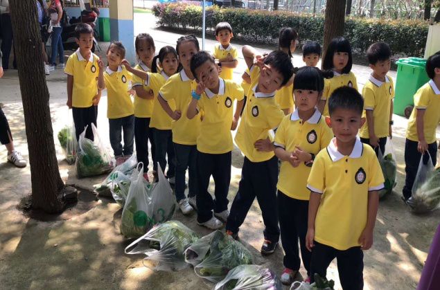 泡泡幼儿多元智能班等你来 泡泡幼儿多元智能班等你来