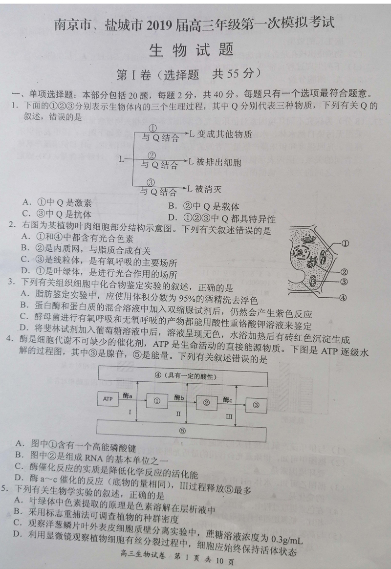 2020一模排名江苏_江苏省无锡市2020届高三一模英语试卷及答案解析