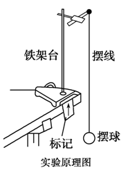 2019物理高考之单摆测重力加速度