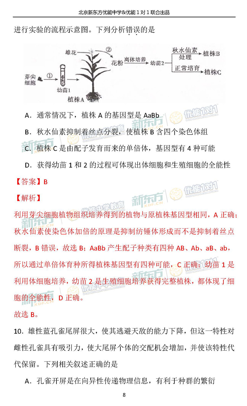 2019北京朝阳区高三期末生物试卷答案逐题解