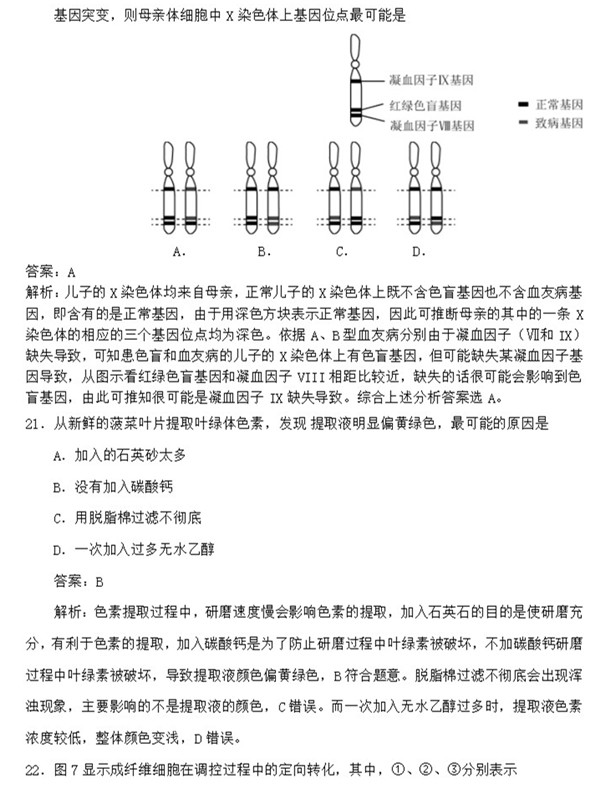 2015年上海卷高考生物真题及答案