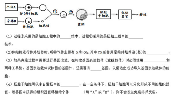 2015年山东卷高考生物真题及答案